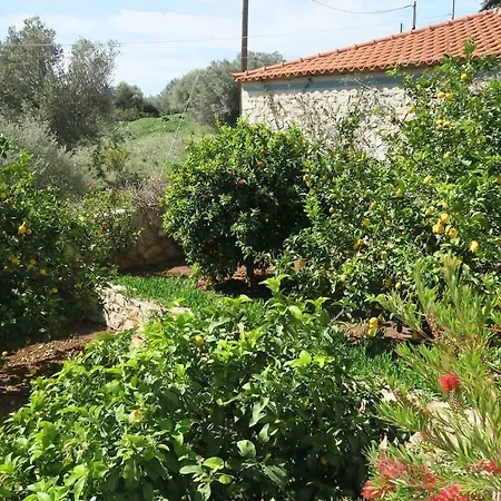 Aeolos A Family Paradise Few Steps From The Beach Kouverta Exterior photo