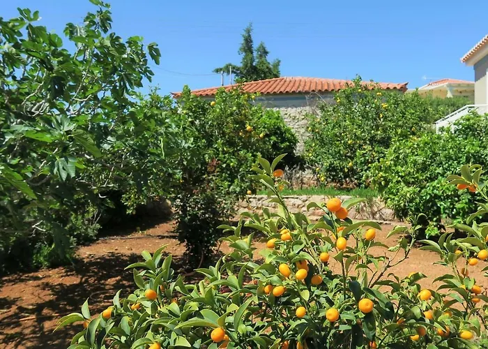 Aeolos A Family Paradise Few Steps From The Beach