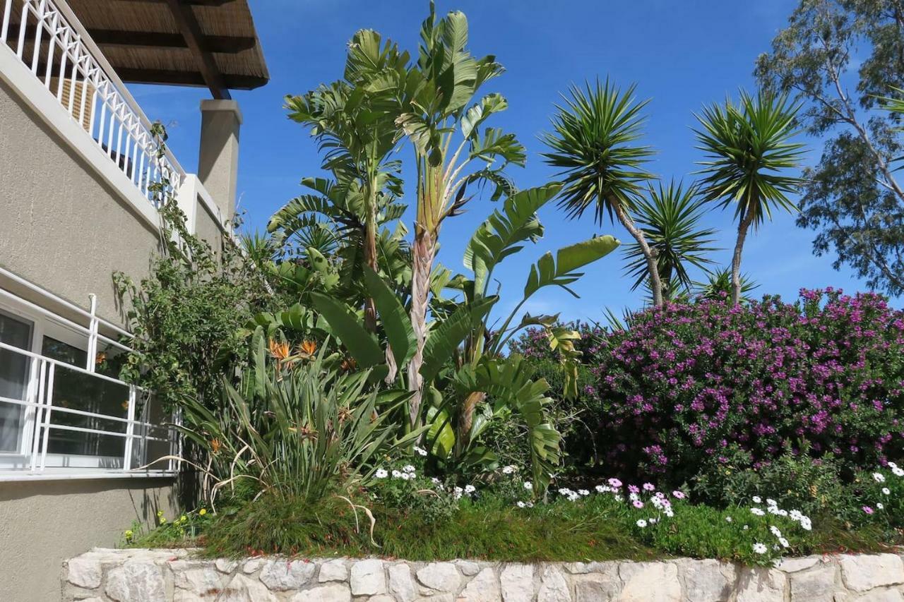 Aeolos A Family Paradise Few Steps From The Holiday home *